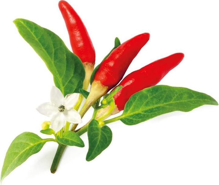 Immagine prodotto Click and Grow Semi Peperoncino rosso (Semi di verdura)