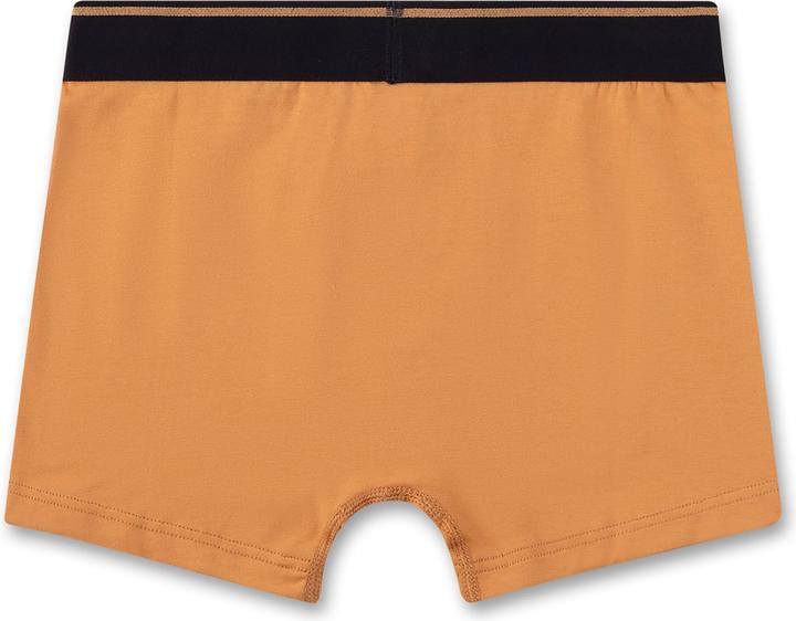 Actual product image Sanetta Boxershort Casual Bequem sitzend (176, 5-pack)