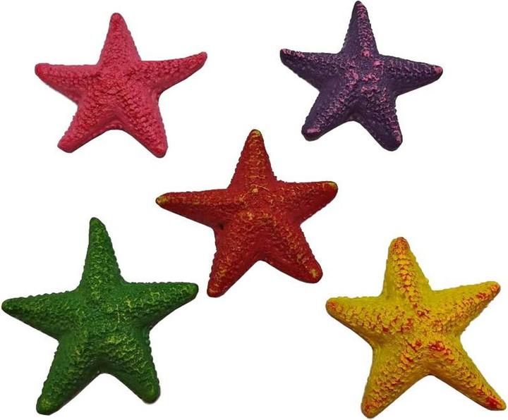 Image du produit EBI Décoration étoile de mer (autres éléments)
