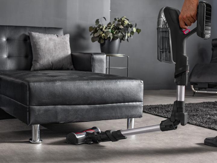Actual product image Rowenta X-Force Flex 14.60 Animal Care