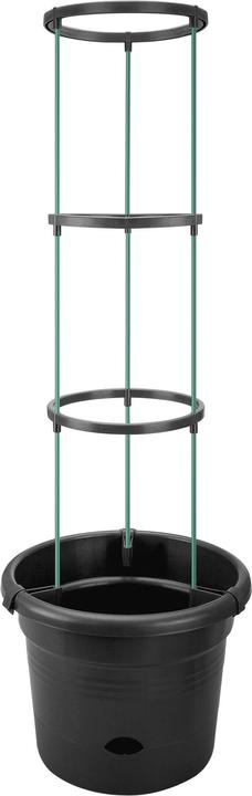 Immagine prodotto Elho Green Basics Pentole per pomodori (33.50 cm)