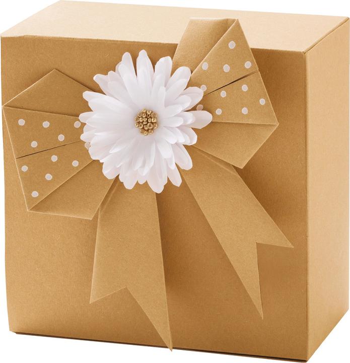 Immagine prodotto Folia Carta kraft (120 g/m², 1 x)