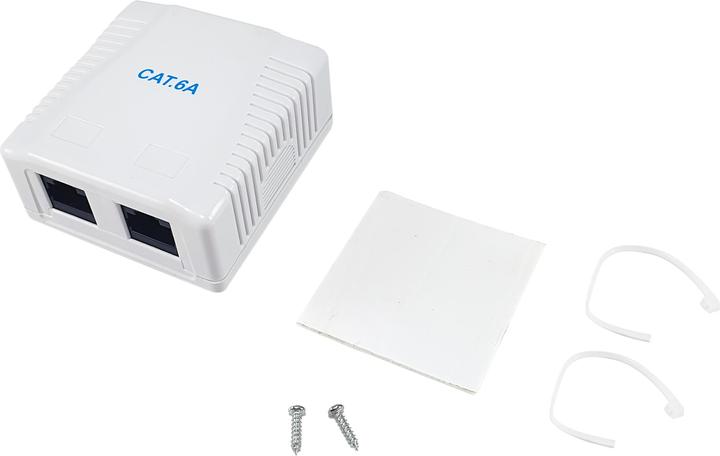Produktbild equip Aufputzdose Cat6A 2-Port 2x RJ45 UTP