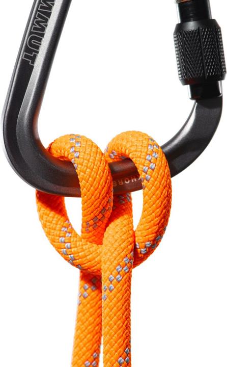Produktbild Mammut 9.5 Alpine Dry Kletterseil (50 m)