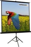 Actual product image Celexon Canvas (72.44", 1:1)