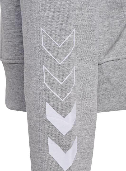 Image du produit hummel Hmlelemental Short Hoodie Femme (S)