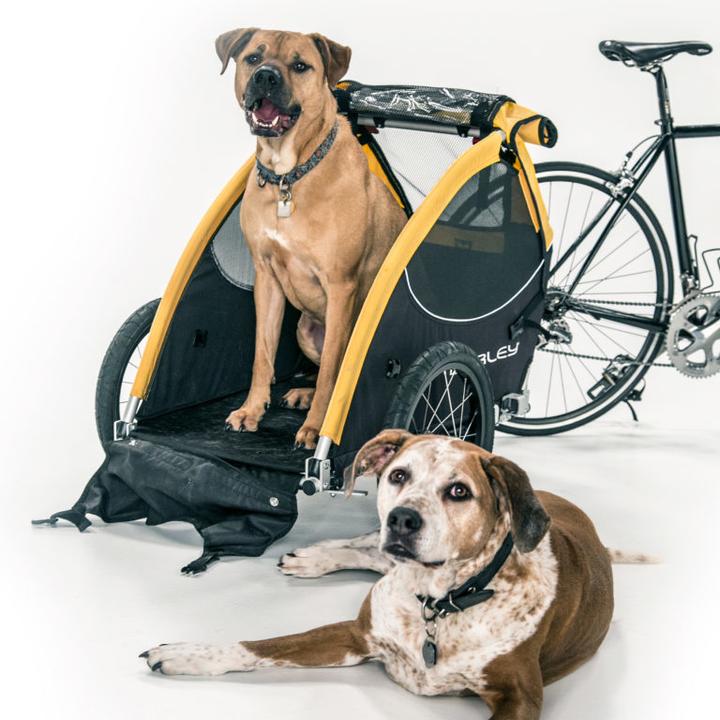 Actual product image Burley tail wagon
