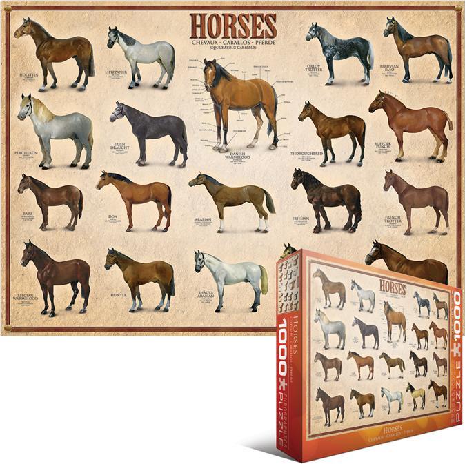 Actual product image Eurographics Horses (1000 pieces)