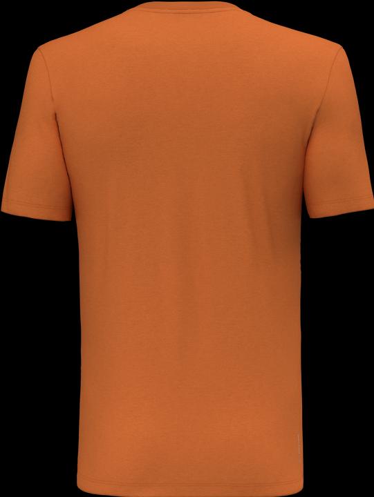 Produktbild Salewa Pure Eagle Frame Dry'ton T-Shirt (S)