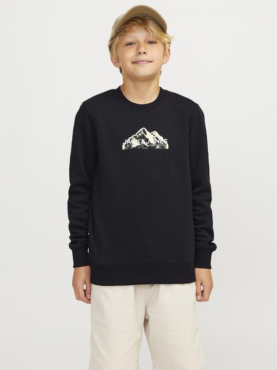 Actual product image Jack & Jones Jcomountain Logo Sweat Crew Neck Sn Mni (116)