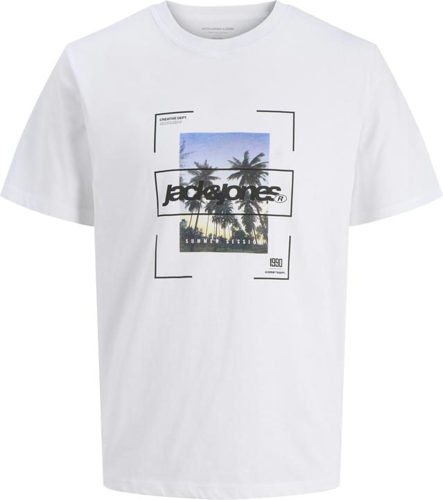 Jack & Jones Jcosystematic Tee Ss Crew Neck Stydss25