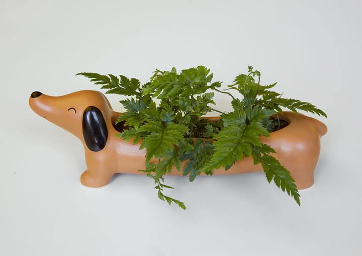 Produktbild Kikkerland Daschund (6 cm)