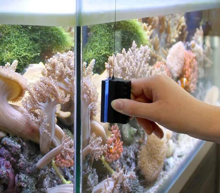 Produktbild Marina Magnetscheibenreiniger L 8x6x3.5cm (Aquarium Reinigung, Magnetreiniger)