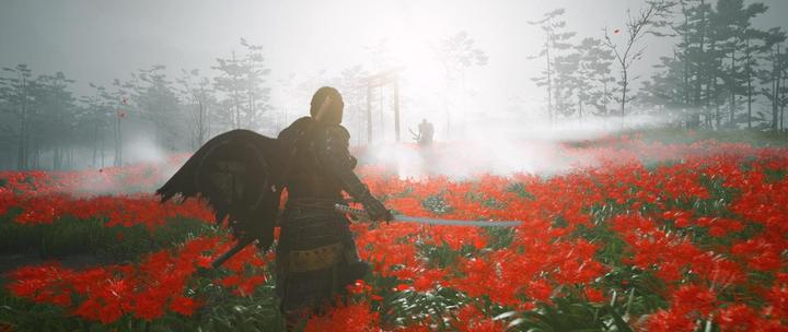 Actual product image Sony Ghost of Tsushima Director’s Cut (PS4, Multilingual)