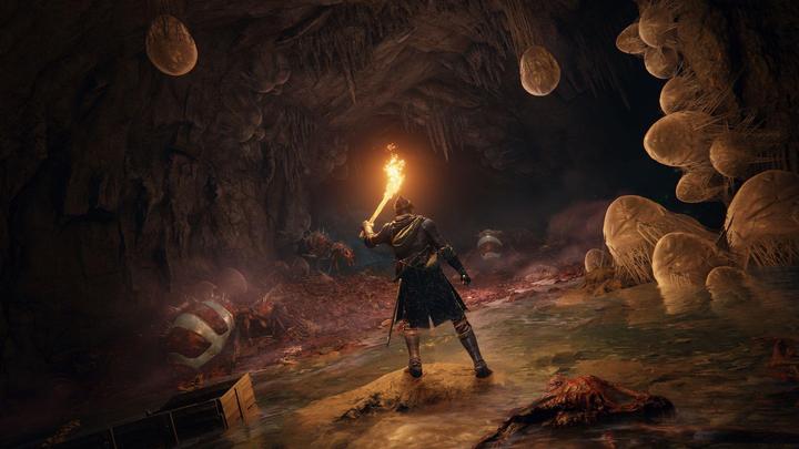 Produktbild Bandai Namco Elden Ring (PS5, DE, FR, IT)