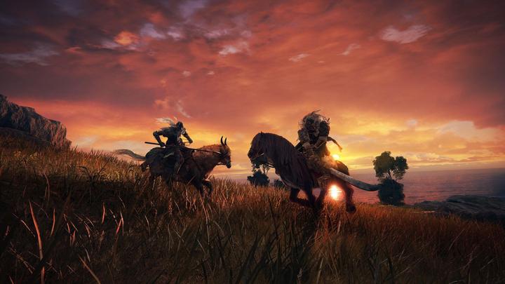 Produktbild Bandai Namco Elden Ring (PS5, DE, FR, IT)