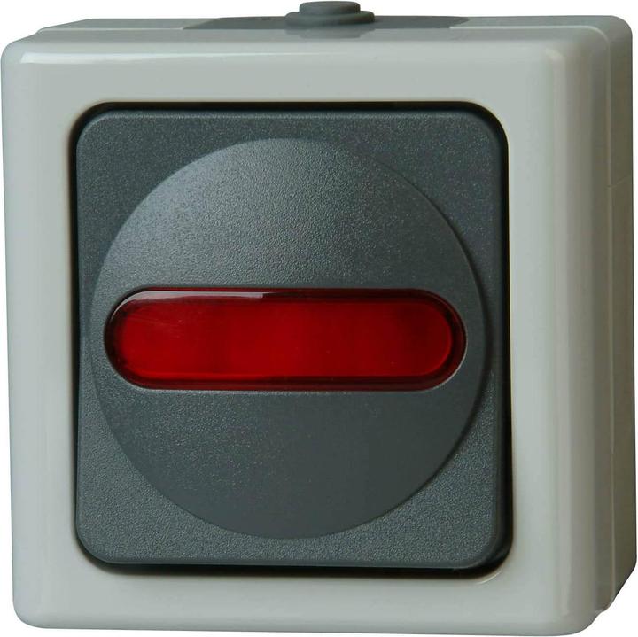 Actual product image Kopp Control Switch Grey