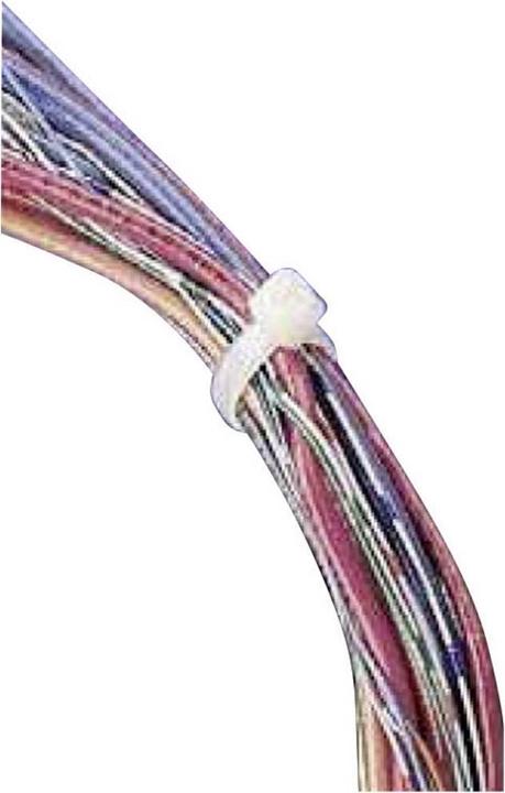 Actual product image ABB Cable Tie Ty Rap® Standard Version (Plastic cable ties, 92 mm, 1000 pcs.)