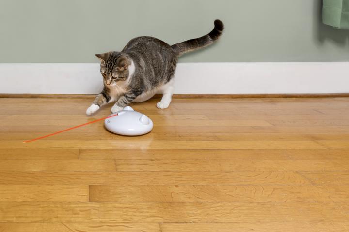 Image du produit PetSafe Laser automatique FroliCat® ZIP® (Jouets avec herbe à chat)