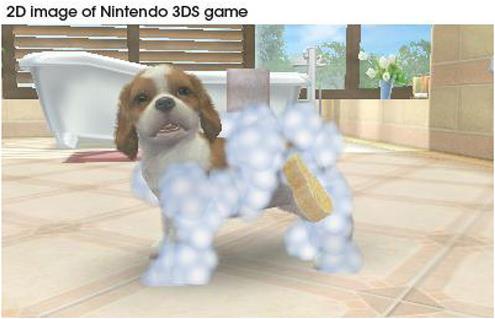 Produktbild Nintendo Nintendogs Cats: Zwergpudel (3DS, DE)