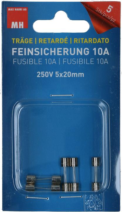 Immagine prodotto Max Hauri Fusibile a filo sottile (Microfusibile, 10 A, Pigro)