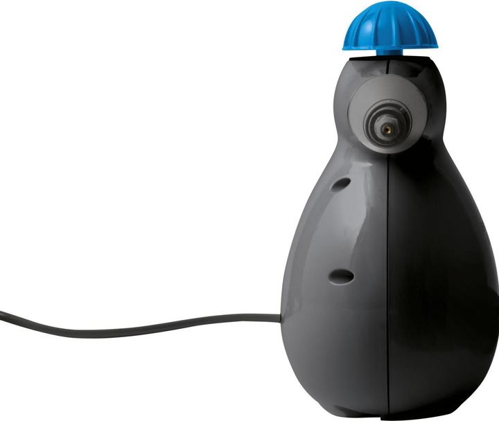 Actual product image Bissell steam shot (4.50 bar, 1000 W)