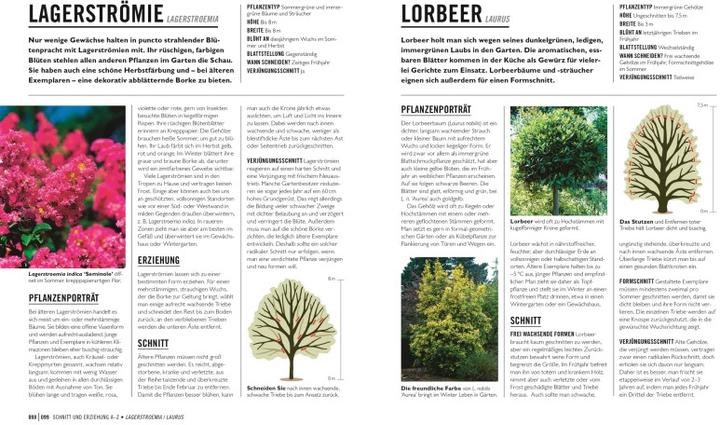 Produktbild Grünes Gartenwissen. Pflanzen richtig schneiden (Deutsch, Stephanie Mahon, Reinhard Ferstl, DK Verlag, 2022)