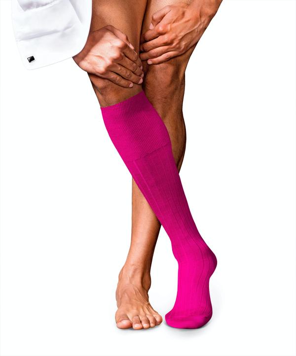Produktbild Falke No. 2 KH (39)