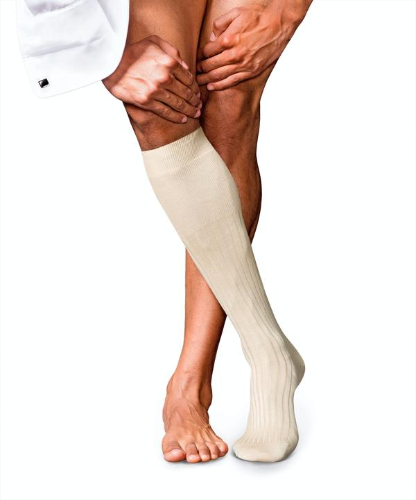 Produktbild Falke No. 13 KH (41 - 42)