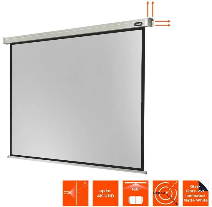 Actual product image Celexon Motor Professional, Canvas, 4:3 (133", 4:3)