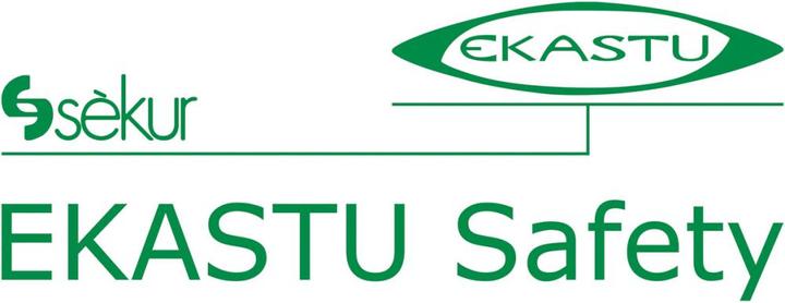 Produktbild Ekastu Sekur Mehrbereichs-Kombi-Filter 422 (Atemschutzmaske Ersatzfilter)