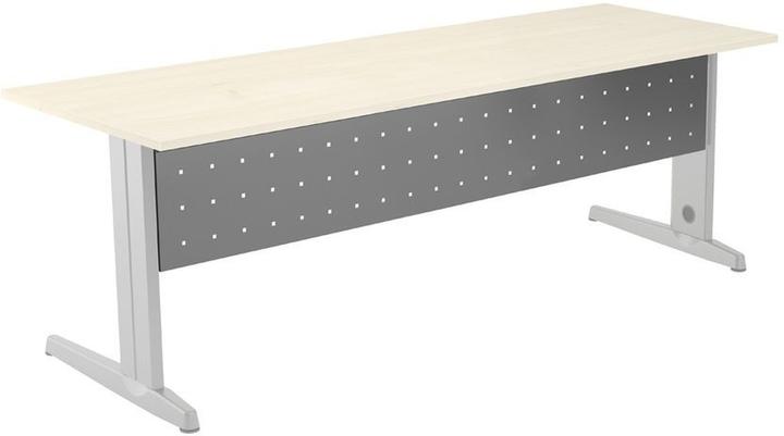 Rocada Modesty screen grey 160.0 x 30.0 cm