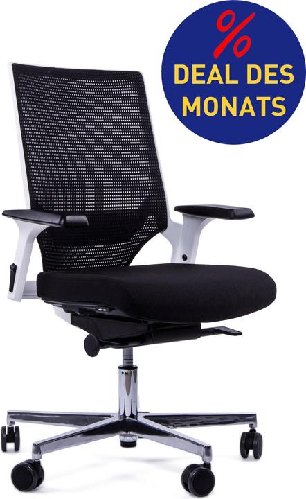 Actual product image Chairzone Self One Pro frame color white