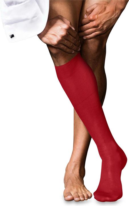 Actual product image Falke No. 9 KH (41 - 42)