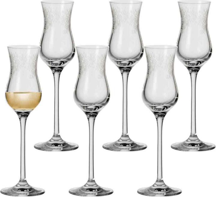 Leonardo Chateau (0.90 dl, 6 x, Liqueur glasses + grappa glasses)