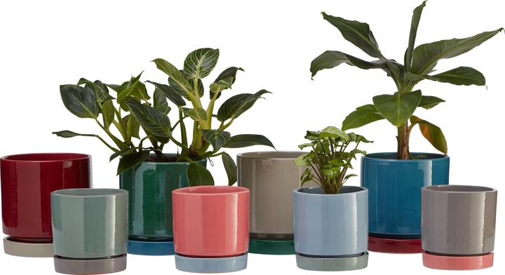 Actual product image micasa Amaya (13 cm)