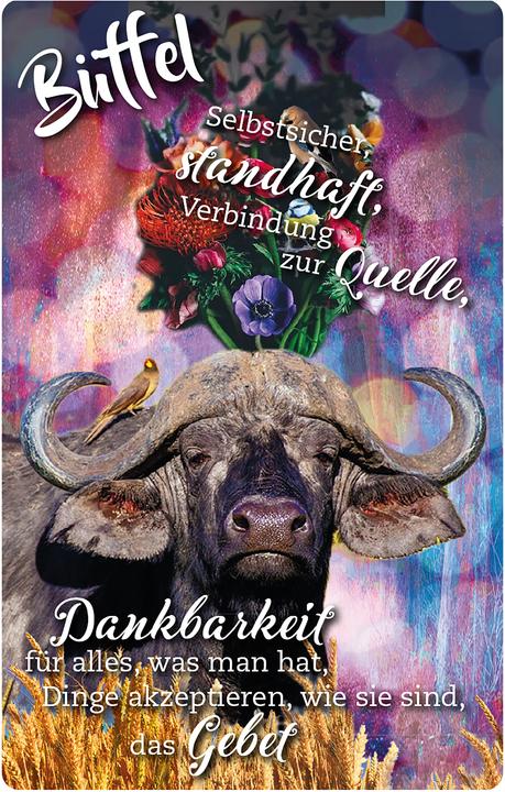 Produktbild Krafttier-Orakelkarten (Deutsch, Eva Katharina Junge, 2021)