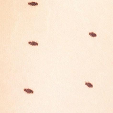 Actual product image Falke Dot TI (15 DEN, 36 - 38)