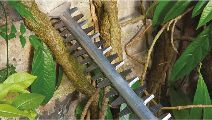 Image du produit Bosch Home & Garden EasyHedgeCut 18-45 Set (Taille-haies sans fil)