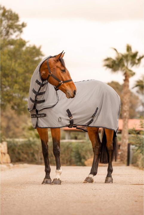 Image du produit Horze Paso Fino