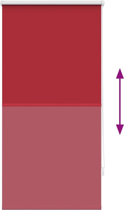 Actual product image VidaXL Aulikki (60 x 120 cm)