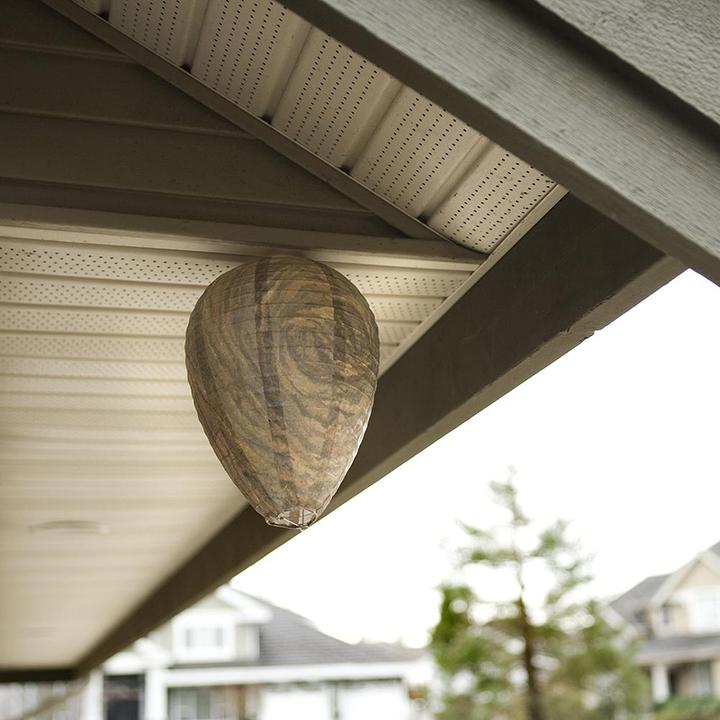 Produktbild JTI Abschreckung für Wespen - Bienenstock