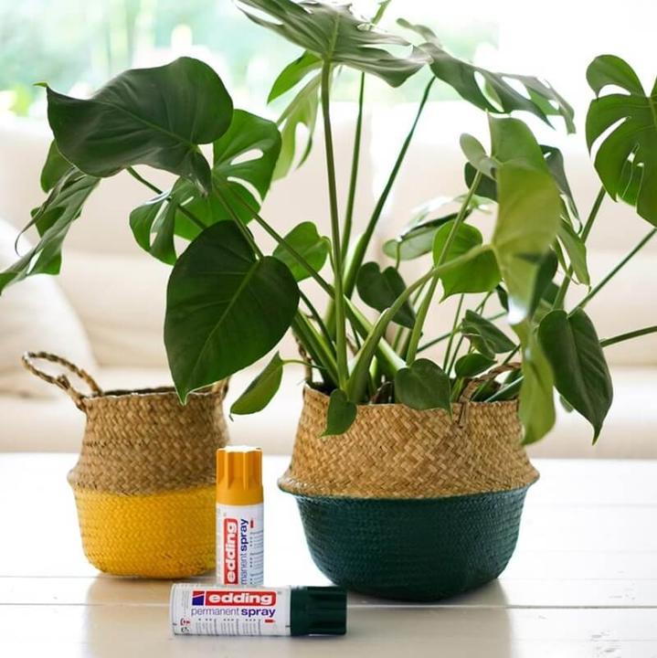 Actual product image Edding Acrylic spray (Moss green, 0.20 l)