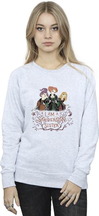 Image du produit Disney - Sweat HOCUS POCUS SANDERSON SISTER - Femme (L)