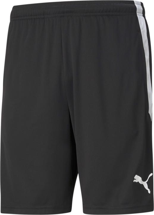 Puma teamLIGA Training Shorts-657249