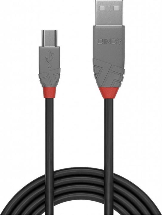 Image du produit Lindy USB/A-MiniB M-M (5 m, USB 2.0)