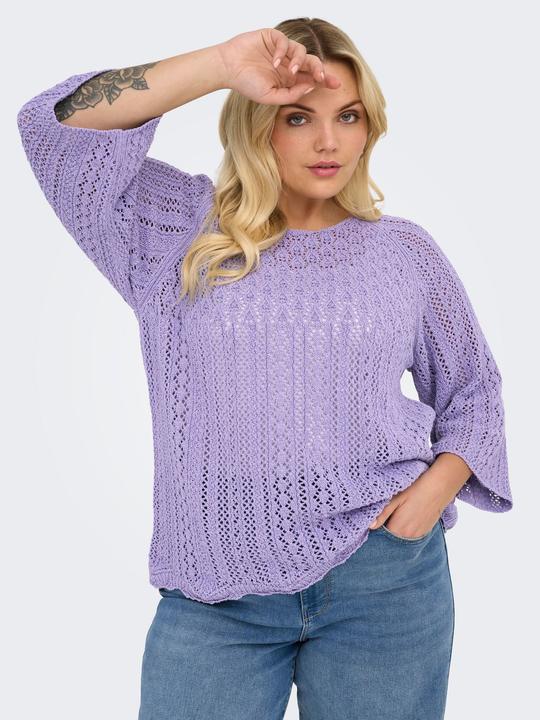 Actual product image Only Regular fit round neck plus pullover knitted jumper (XL)