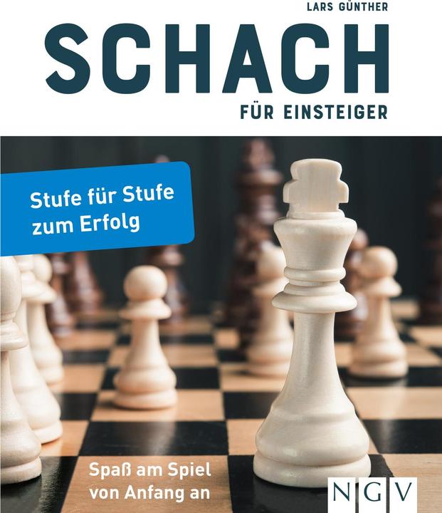Actual product image Chess for beginners