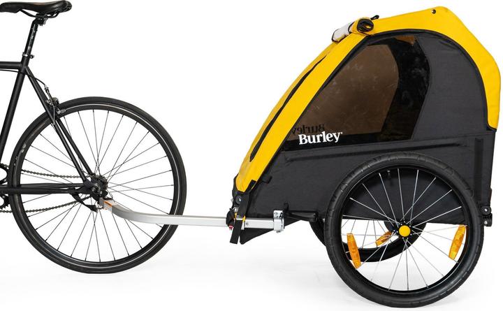 Actual product image Burley Bee