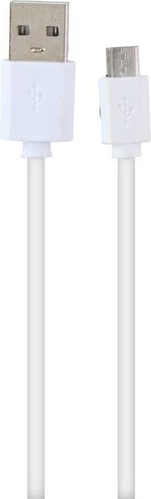 Produktbild Grundig Powerbank 10000mAh (10000 mAh)
